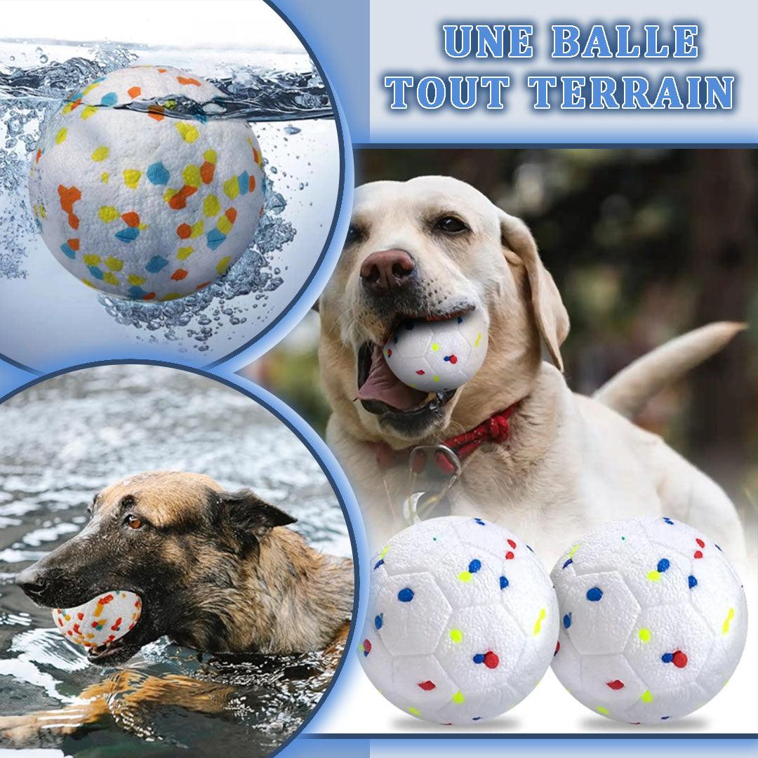 ToughPup™ | Balle Chien - l'école du chien