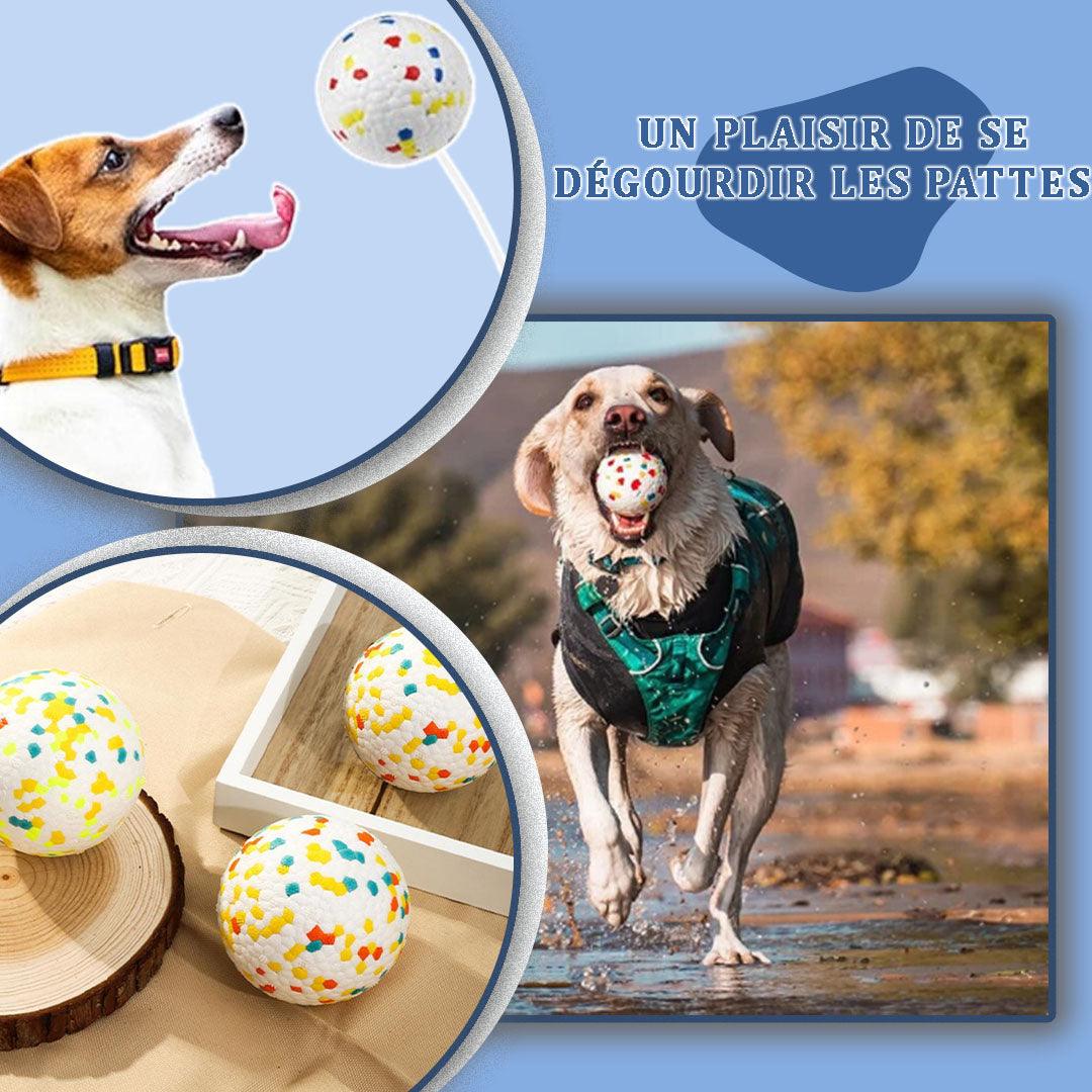 ToughPup™ | Balle Chien - l'école du chien