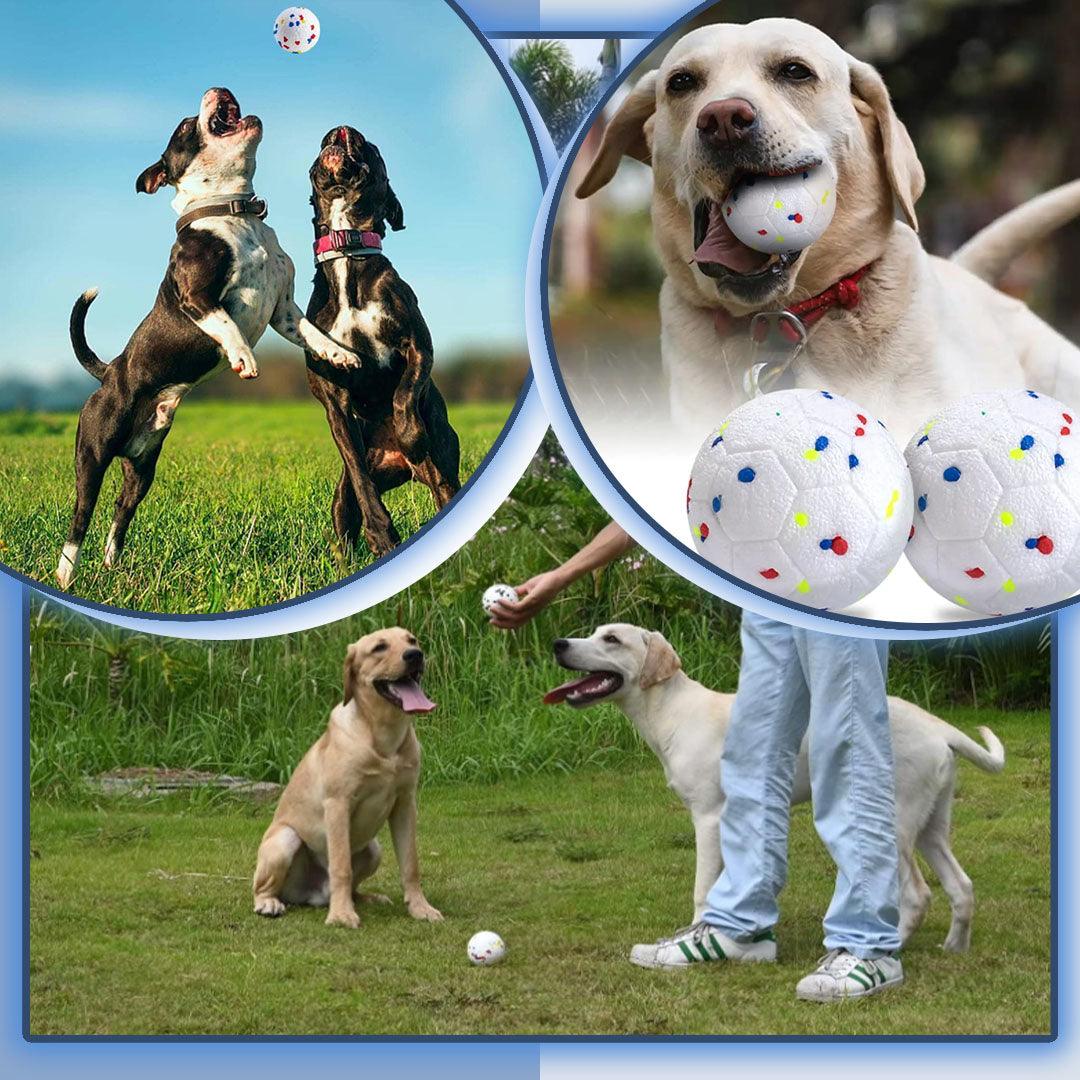 ToughPup™ | Balle Chien - l'école du chien