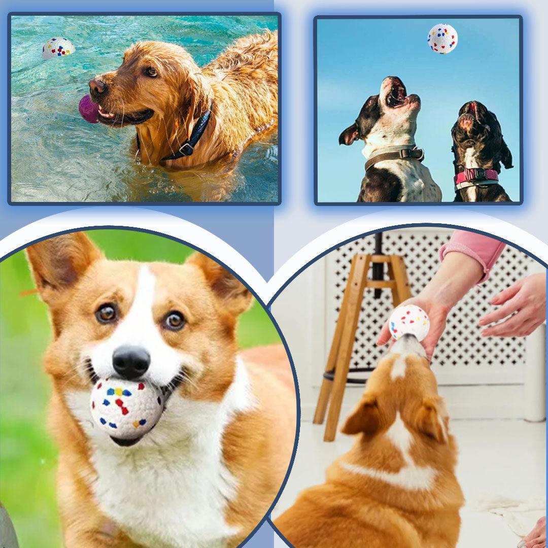 ToughPup™ | Balle Chien - l'école du chien