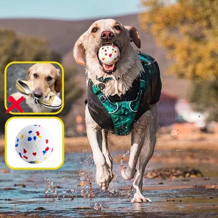 ToughPup™ | Balle Chien - l'école du chien