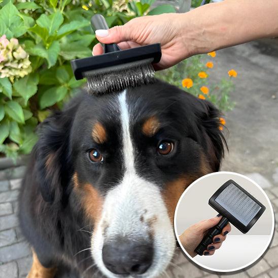 Brosse pour Chien - l'école du chien