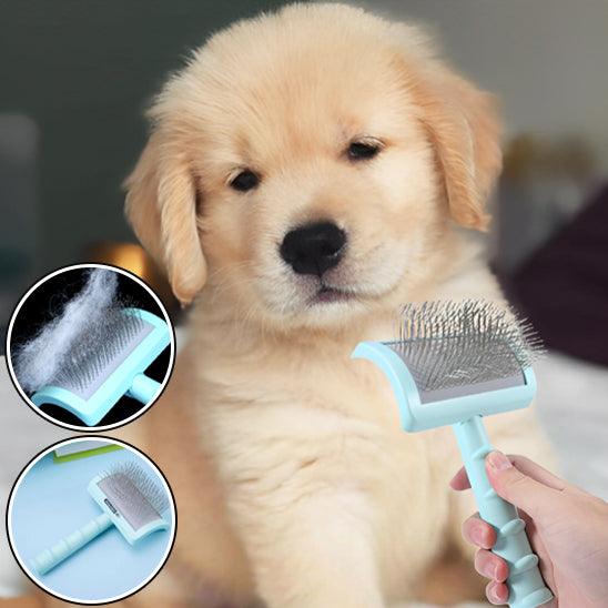 Brosse pour Chien - l'école du chien