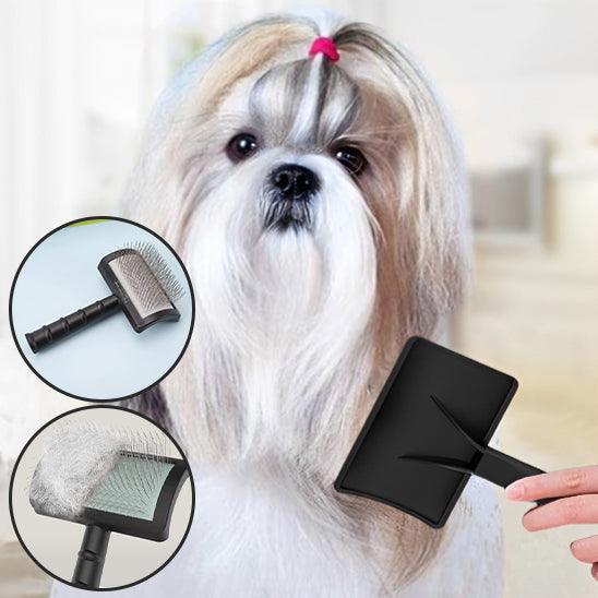 Brosse pour Chien - l'école du chien