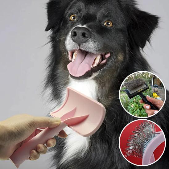 Brosse pour Chien - l'école du chien