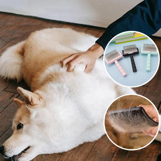 Brosse pour Chien - l'école du chien