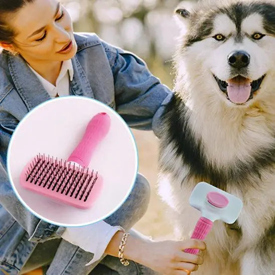 Brosse pour Chien | AutomaticBrush™ - l'école du chien
