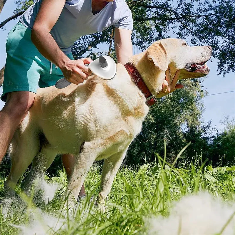 Brosse pour Chien | AutomaticBrush™ - l'école du chien