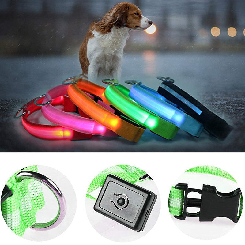 GlowPaw™ | Collier Lumineux pour Chien - l'école du chien