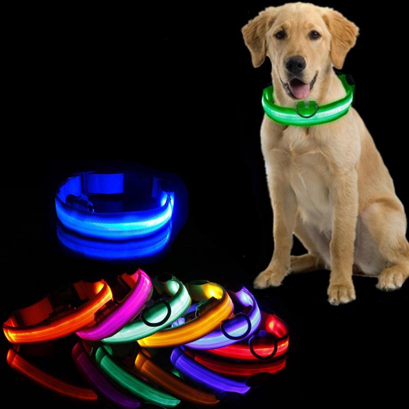 GlowPaw™ | Collier Lumineux pour Chien - l'école du chien