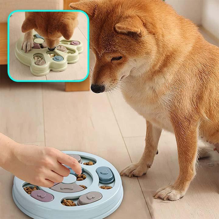 PuzPup™ | GAMELLE INTERACTIVE - l'école du chien