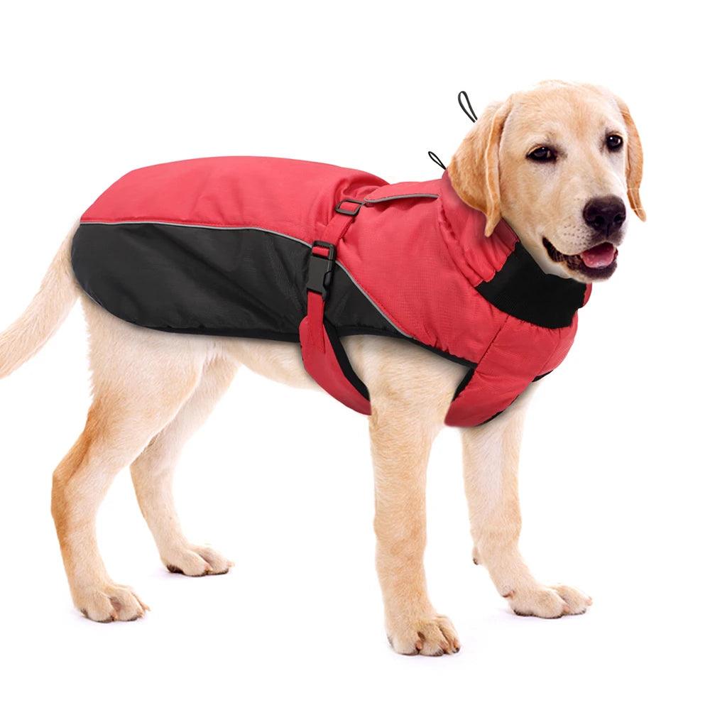 Manteau imperméable pour chien - l'école du chien