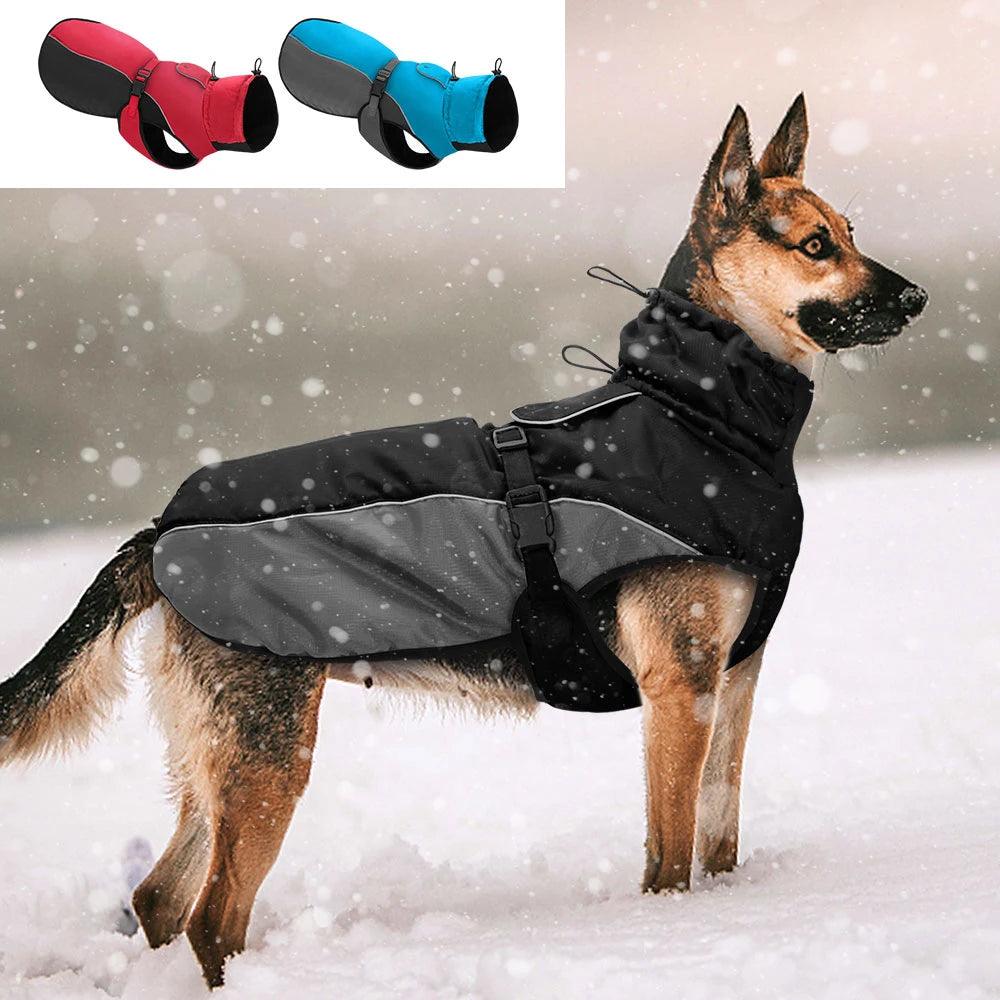 Manteau imperméable pour chien - l'école du chien