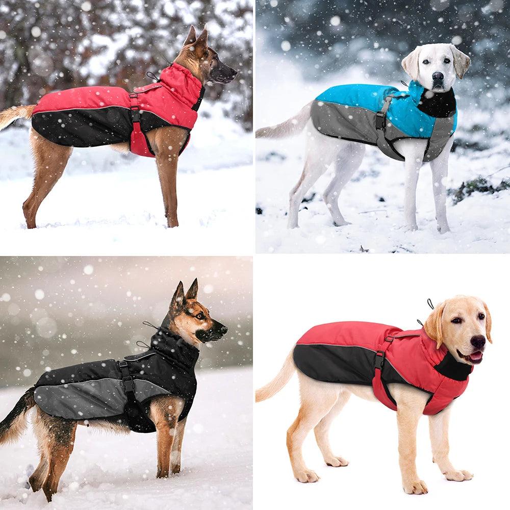 Manteau imperméable pour chien - l'école du chien