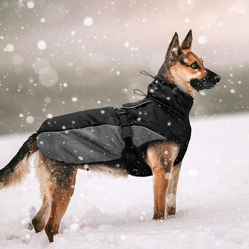 Manteau imperméable pour chien - l'école du chien