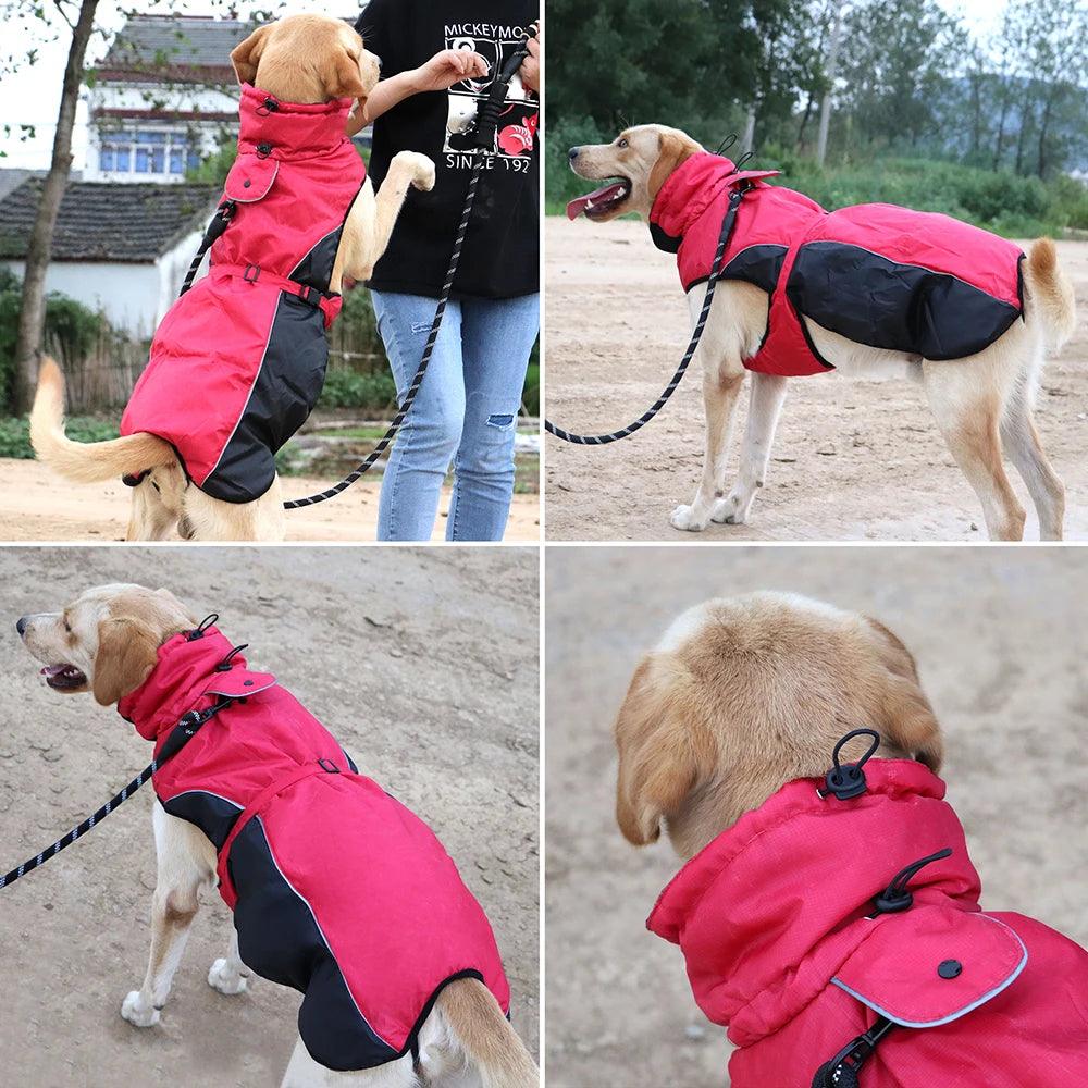 Manteau imperméable pour chien - l'école du chien