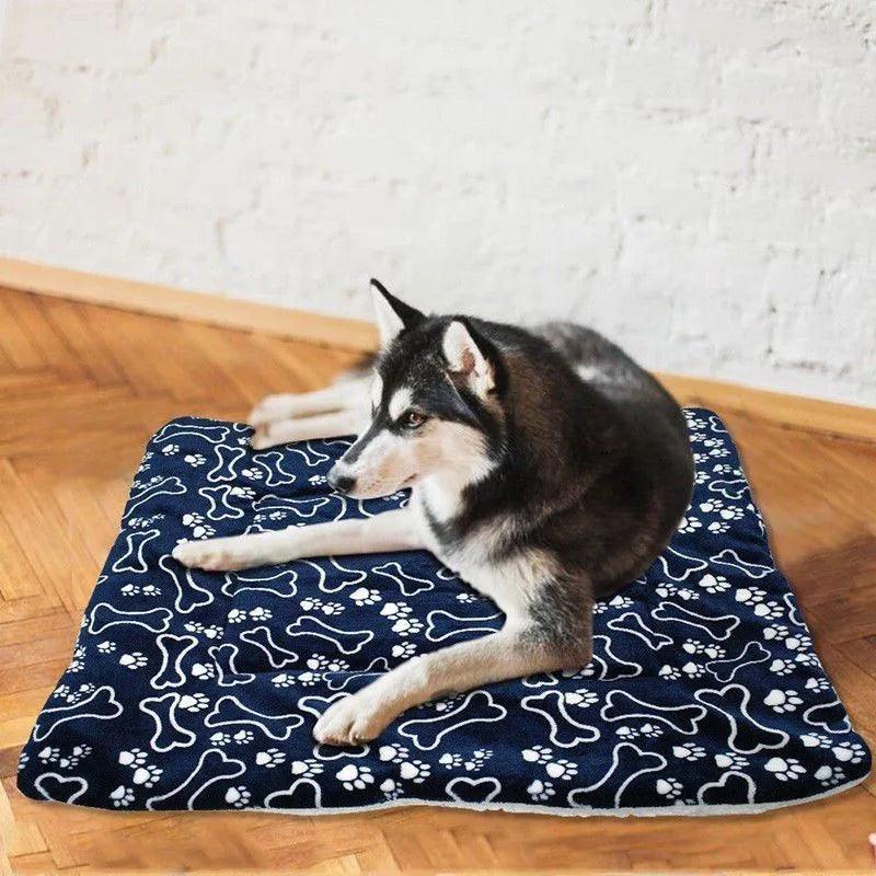 Tapis pour Chien - l'école du chien