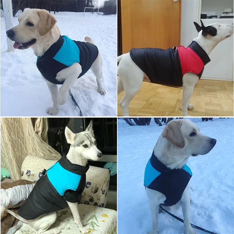 Imperméable Chien - l'école du chien