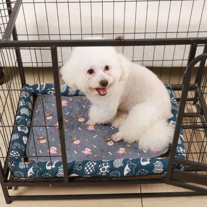 Tapis pour Chien - l'école du chien