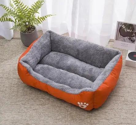 Coussin Chien - l'école du chien