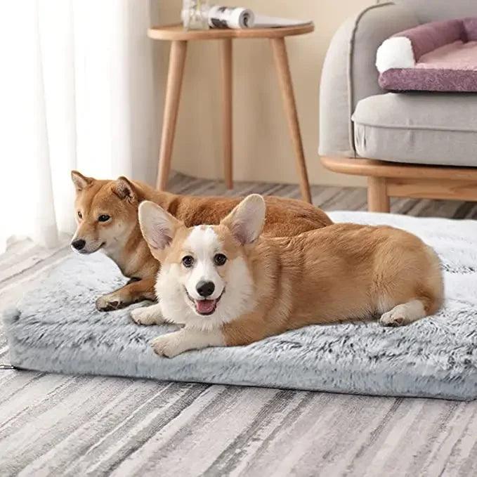Tapis pour Chien - l'école du chien