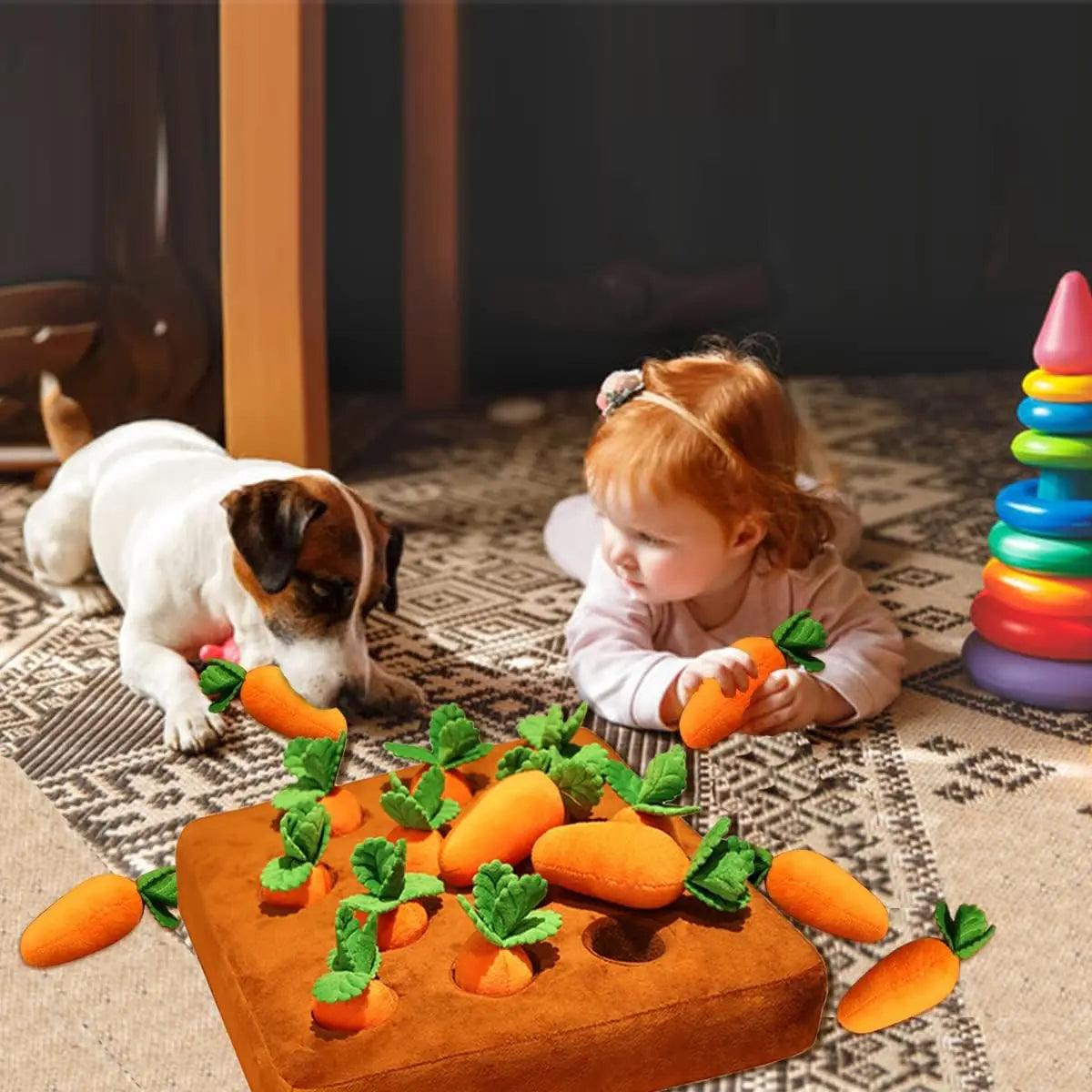Carotte Chien - l'école du chien