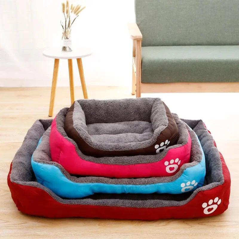 Coussin Chien - l'école du chien