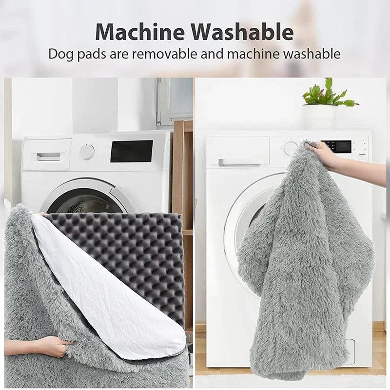 Tapis pour Chien - l'école du chien