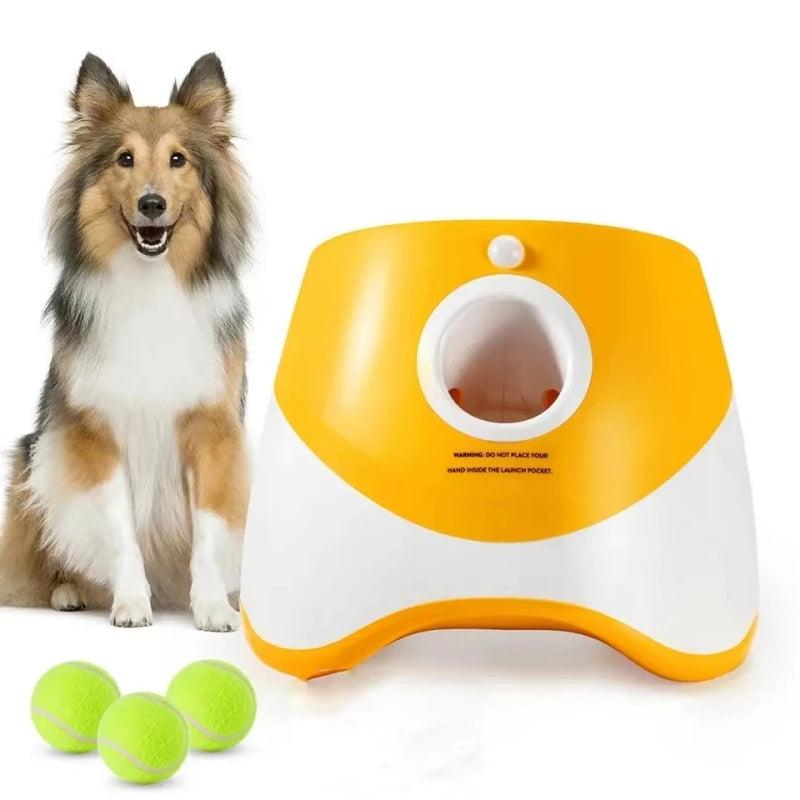 Lanceur de Balle pour Chien - l'école du chien