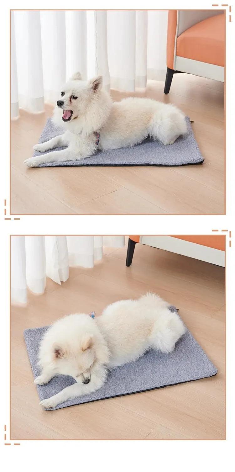 Tapis pour Chien - l'école du chien
