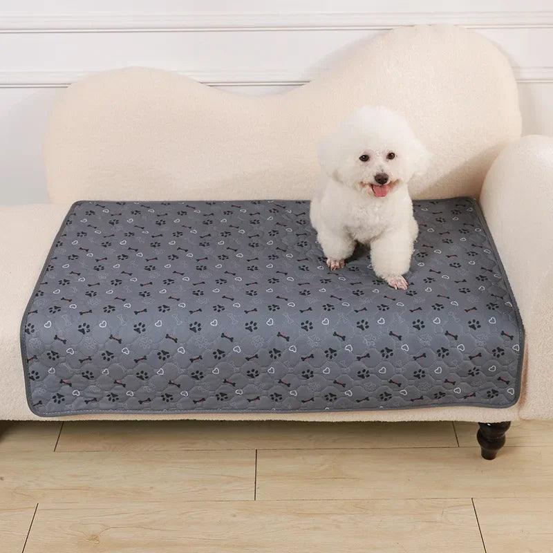 Tapis pour Chien - l'école du chien