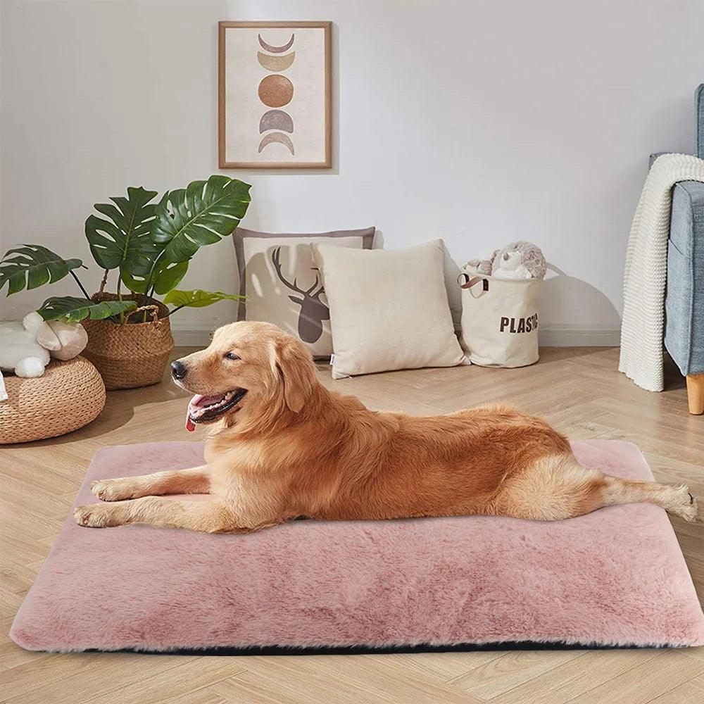 Tapis pour Chien - l'école du chien