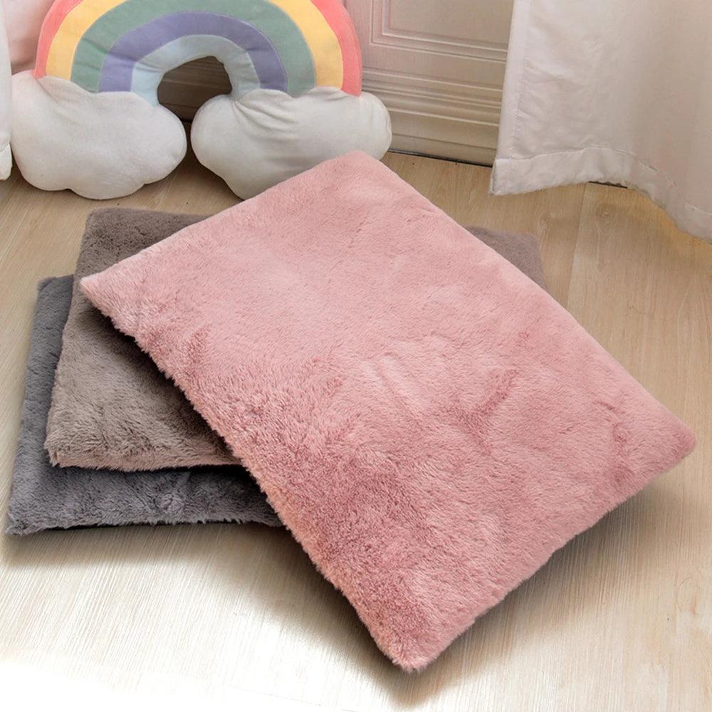 Tapis pour Chien - l'école du chien