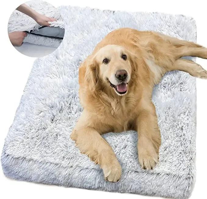 Tapis pour Chien - l'école du chien