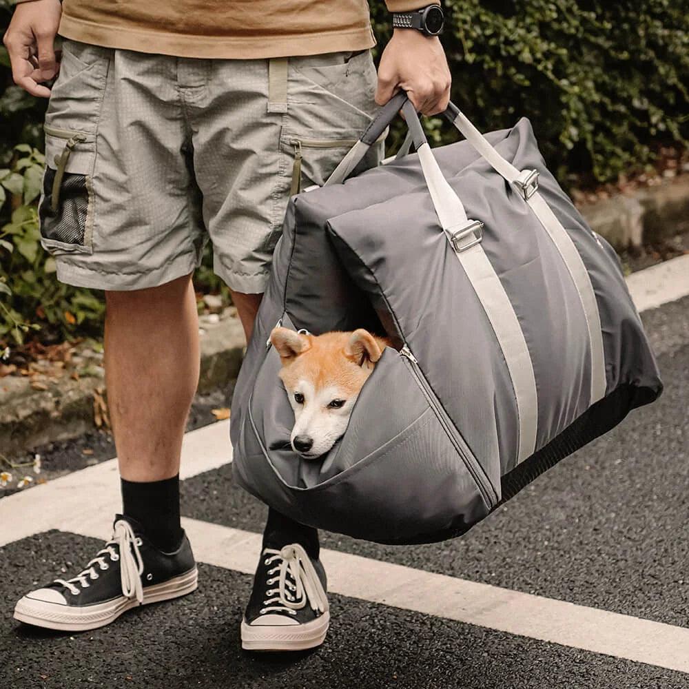 Siege Auto Chien - l'école du chien