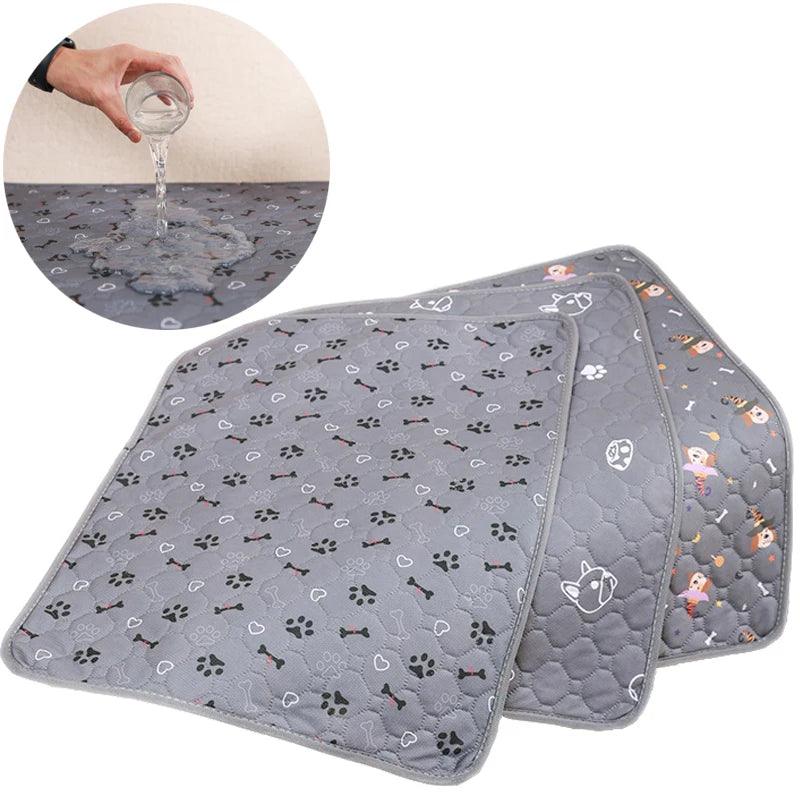 Tapis pour Chien - l'école du chien