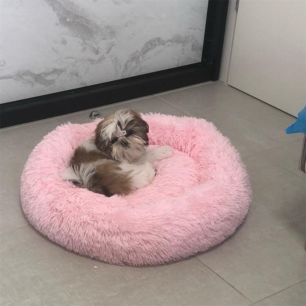 Coussin pour Chien | ConfortoPaw™ - l'école du chien