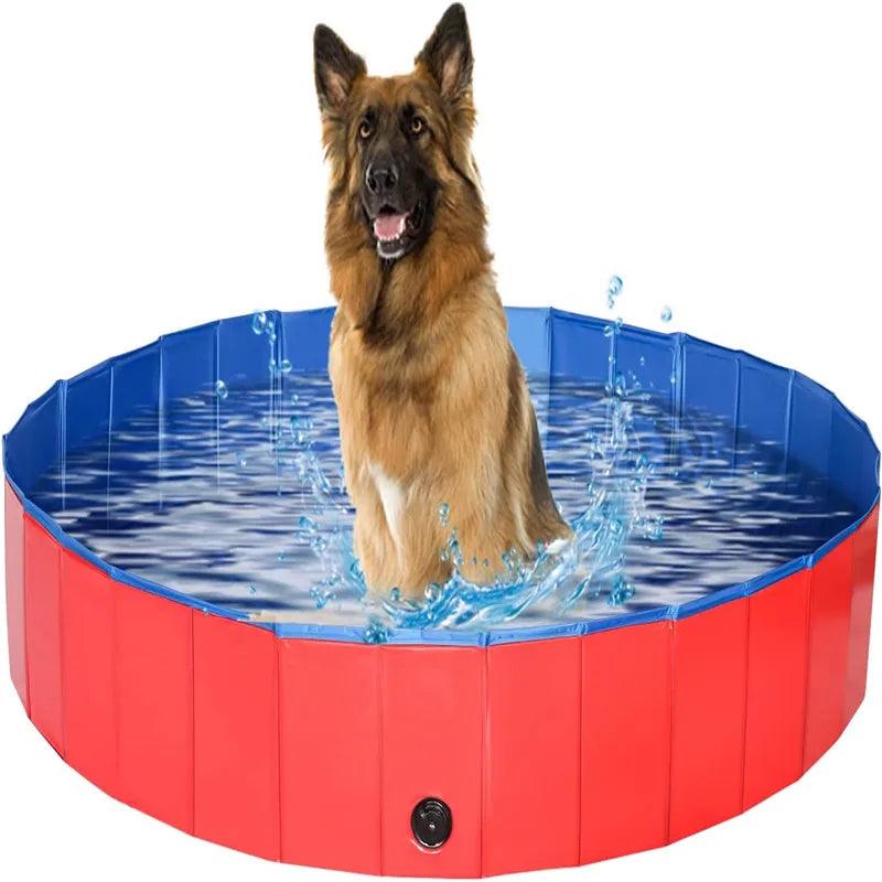 Piscine pour Chien - l'école du chien