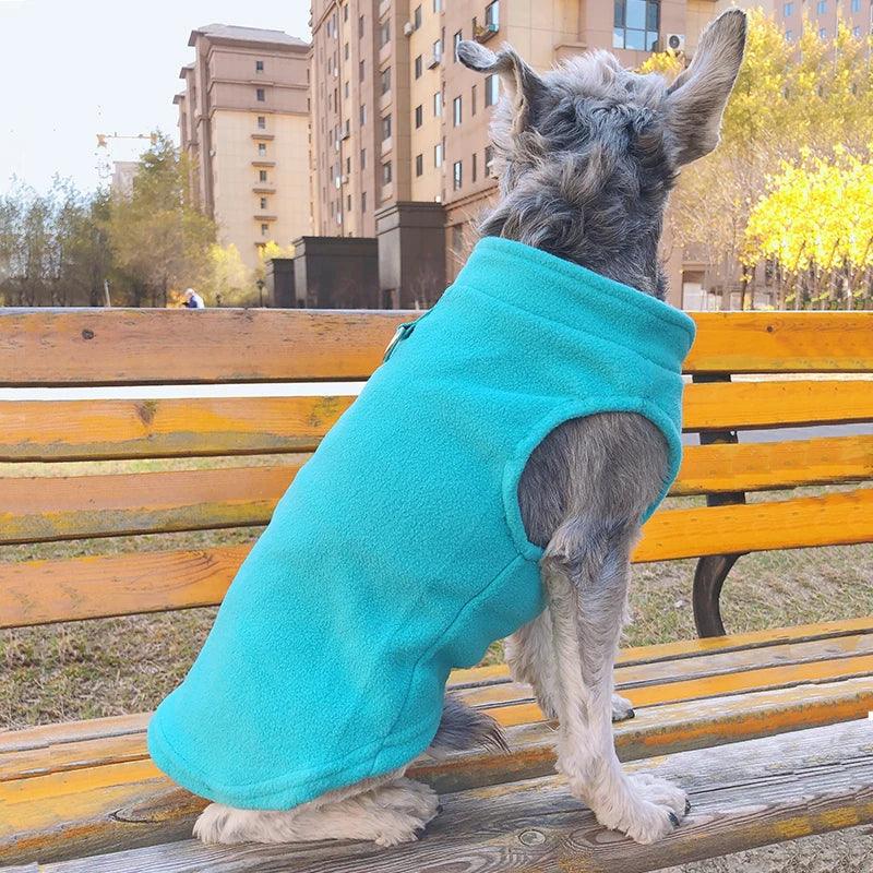 Manteau Chien - l'école du chien