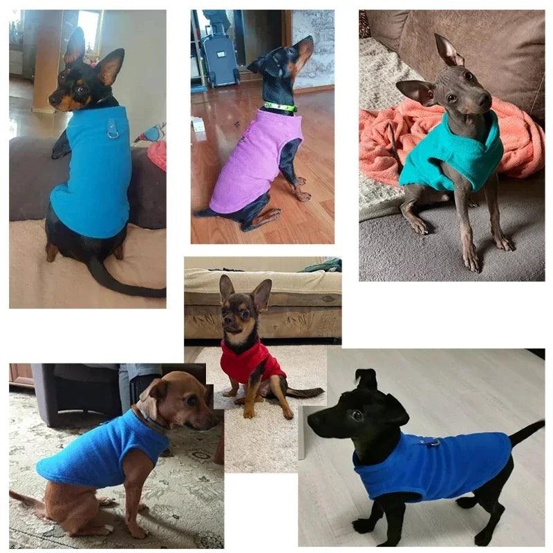 Manteau Chien - l'école du chien