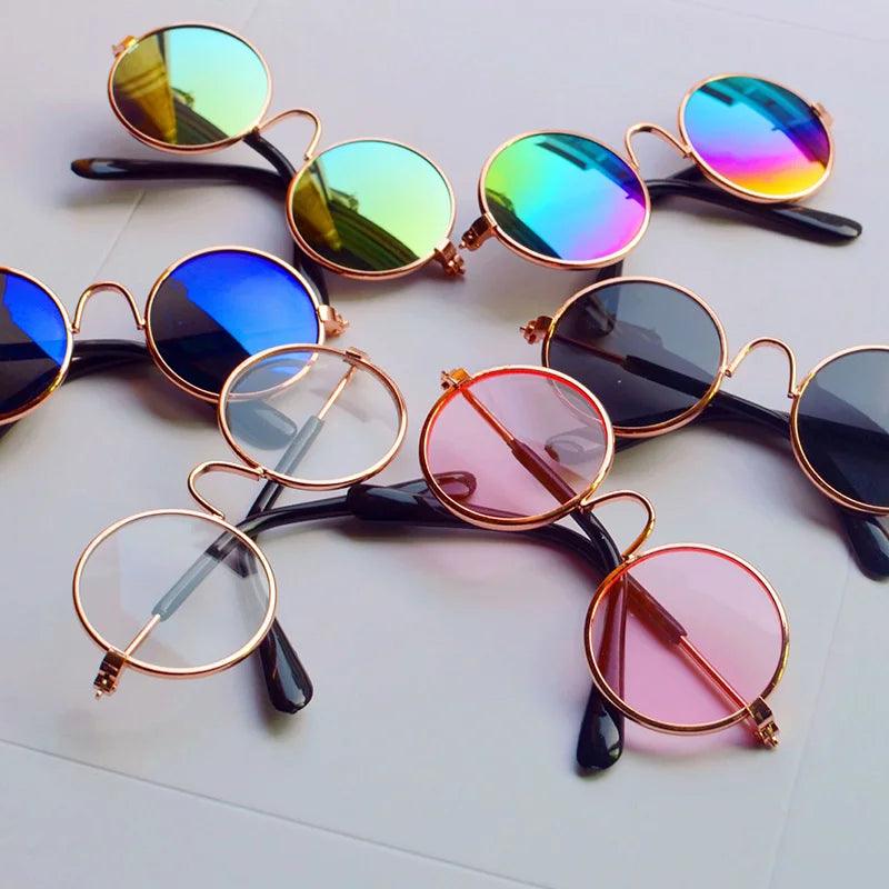 Lunettes pour Chien - l'école du chien