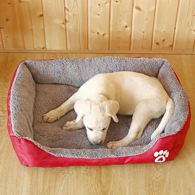 Coussin Chien - l'école du chien