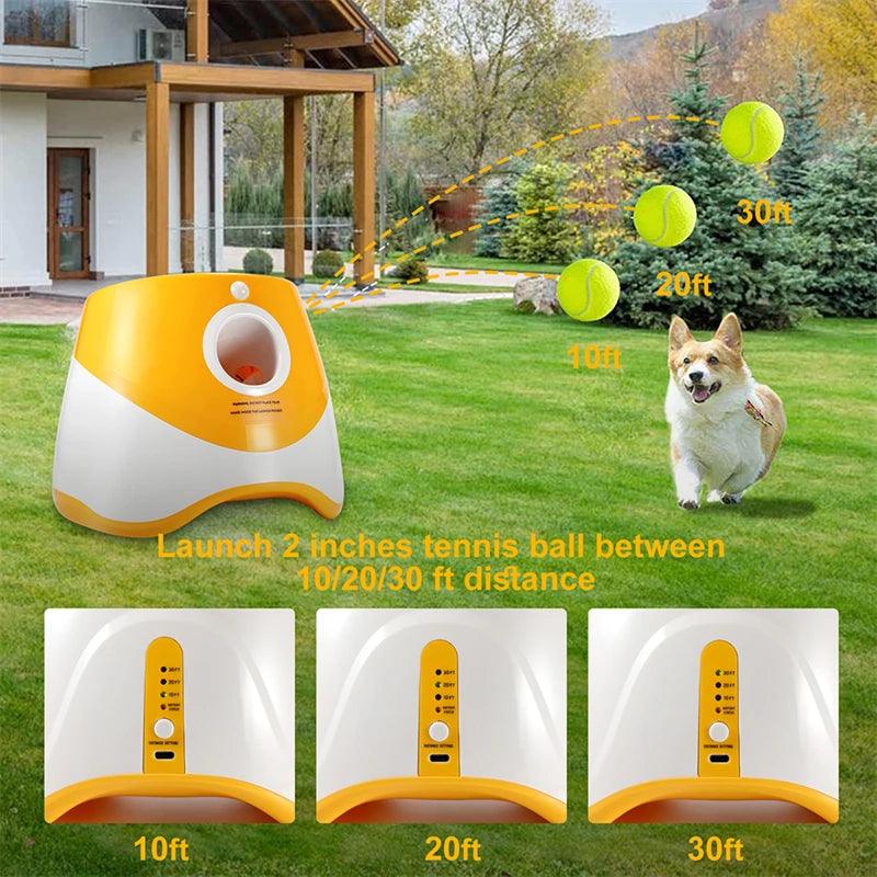 Lanceur de Balle pour Chien - l'école du chien