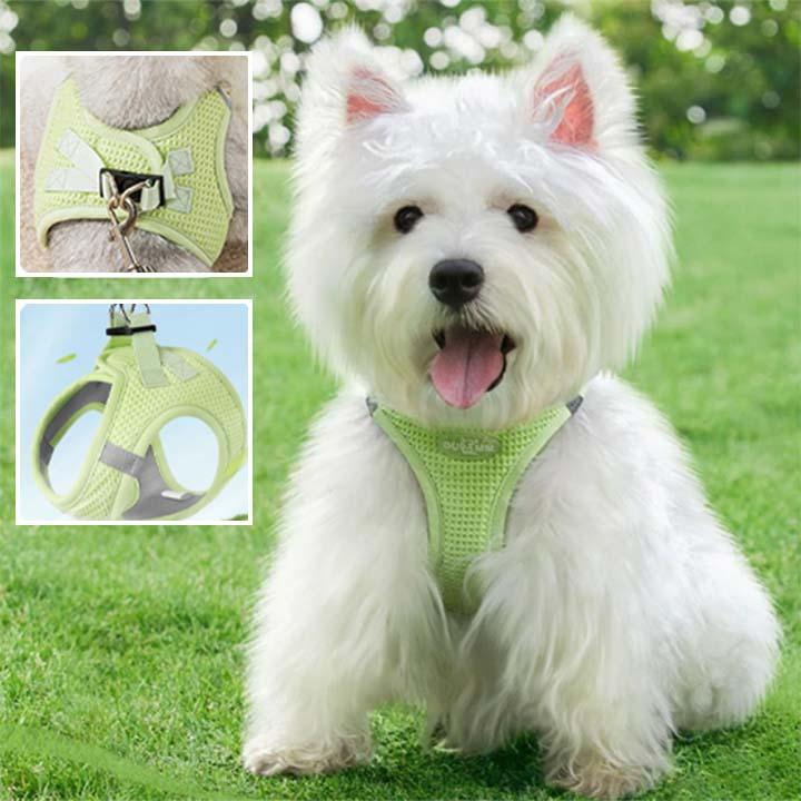 Harnais Chien - l'école du chien