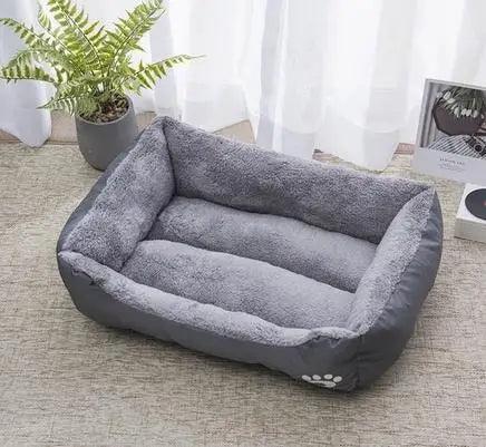 Coussin Chien - l'école du chien