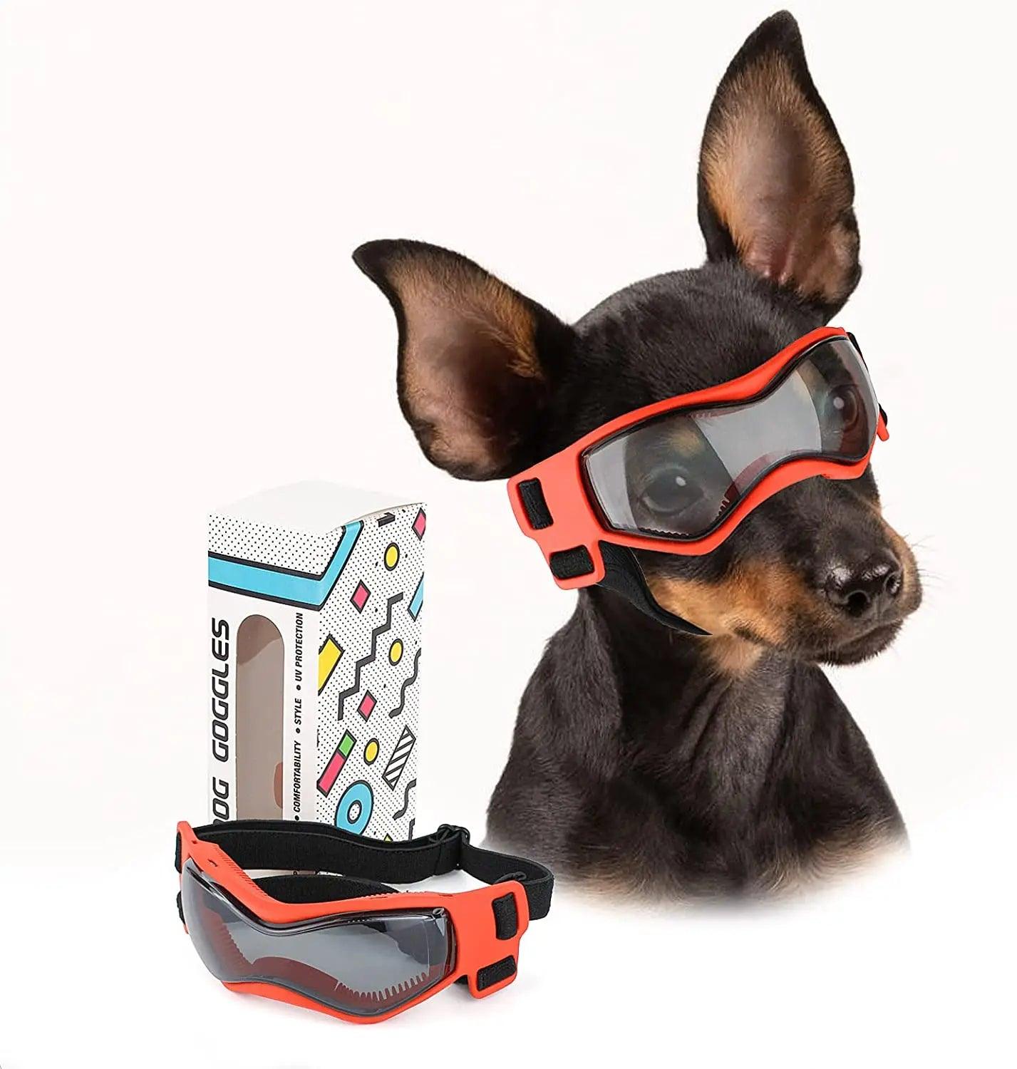 Lunettes pour Chien - l'école du chien