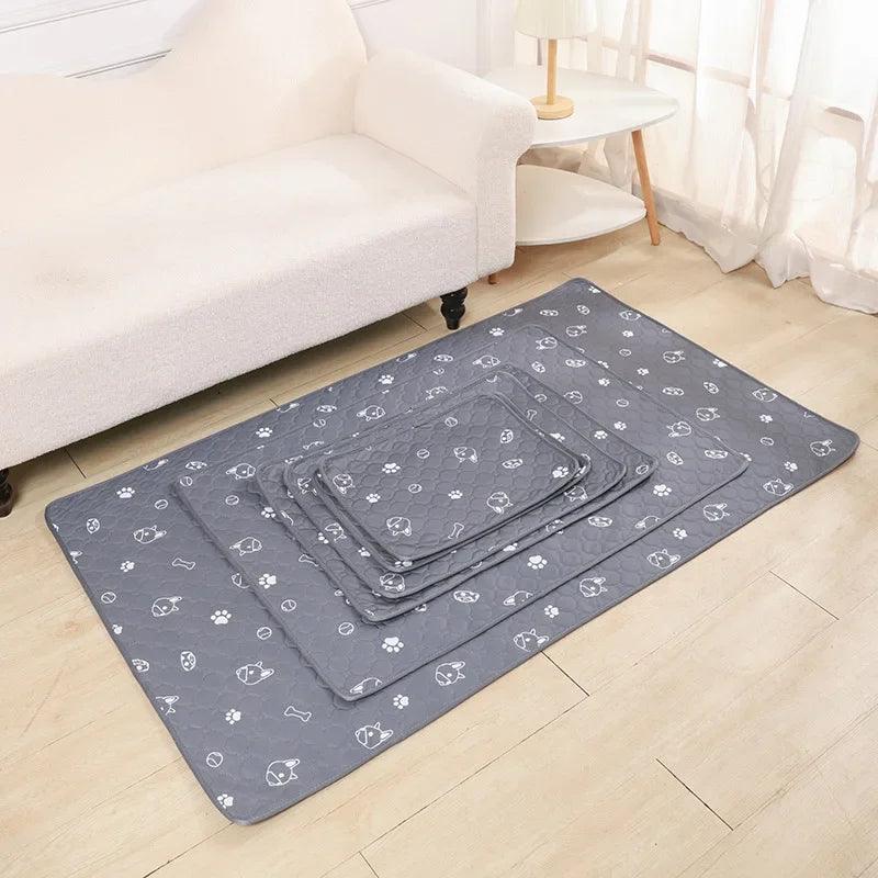 Tapis pour Chien - l'école du chien