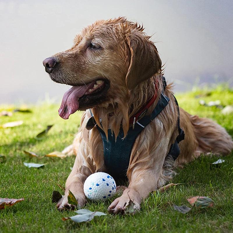 ToughPup™ | Balle Chien - l'école du chien