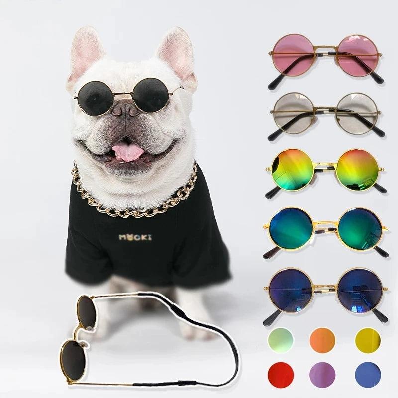 Lunettes pour Chien - l'école du chien