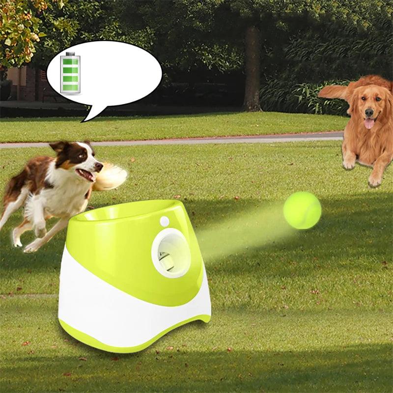 Lanceur de Balle pour Chien - l'école du chien